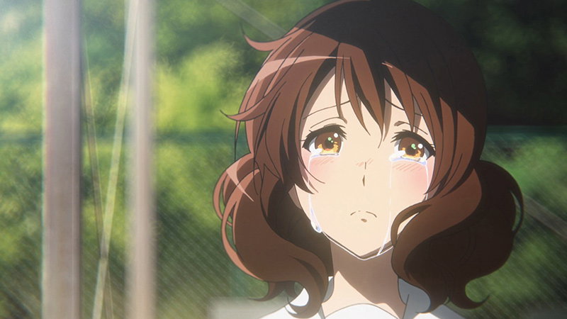 Die Top 10 beliebtesten Anime-Girls – NewType Juni 2019 kumiko_TL800x450-8-5