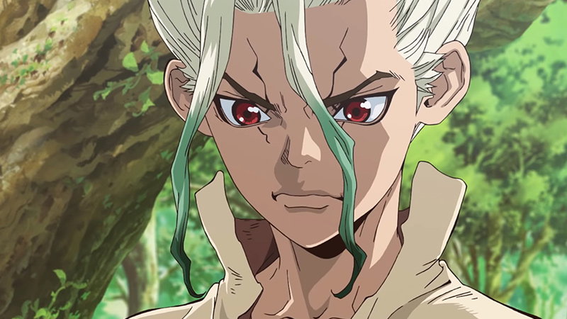Die Top 15 meisterwarteten Sommer-Serien in Japan dr-stone-TL800-450-25-6