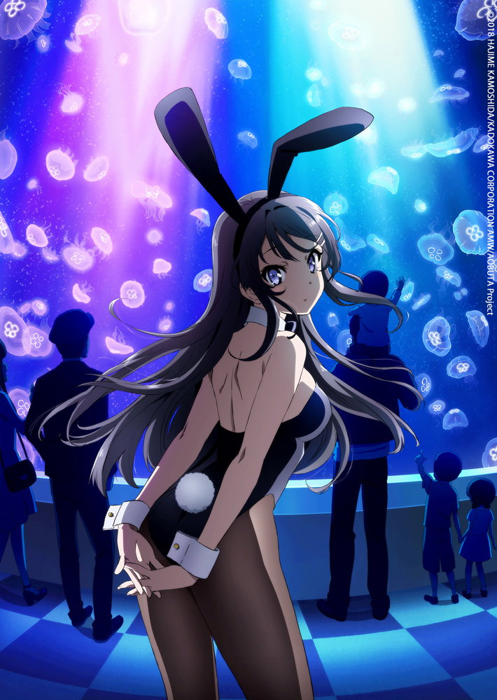 ANIMAX: Zwei neue Serien für Juli und August angekündigt bunny