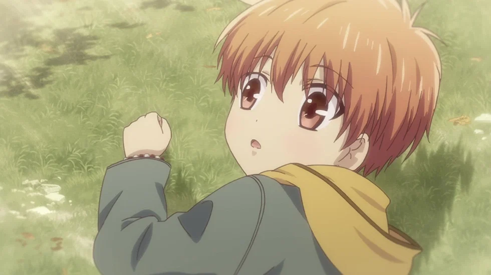 Fruits Basket